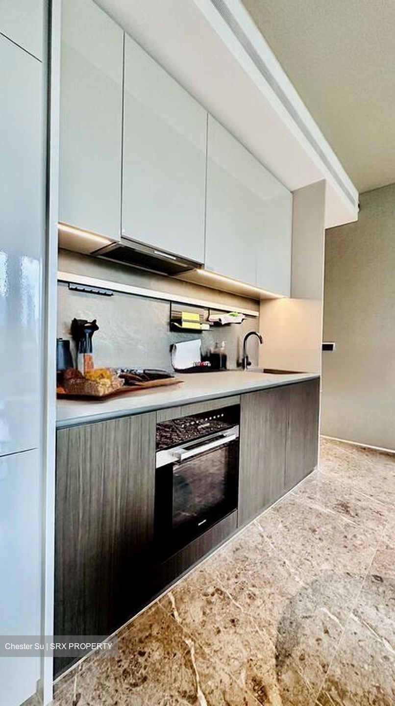 Cuscaden Reserve (D10), Condominium #483129641